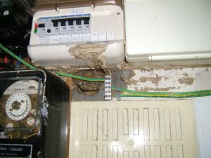 Wasps nest in cupboard.