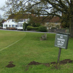 Moles on Tilford green