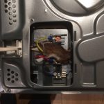 Mouse electrocuted in cooker.